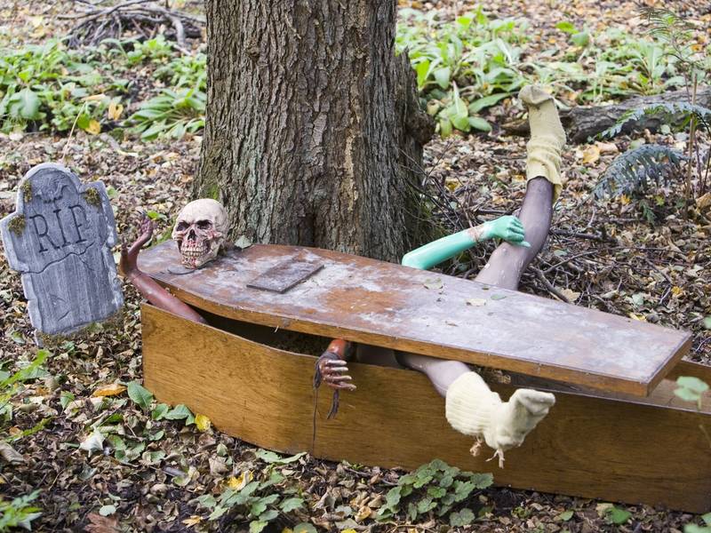 six flags st louis offering 300 for 30 hours in a coffin st