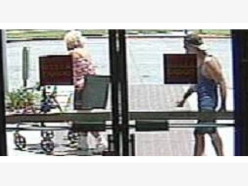 Backpage Port Richey Fl Women Seeking Men