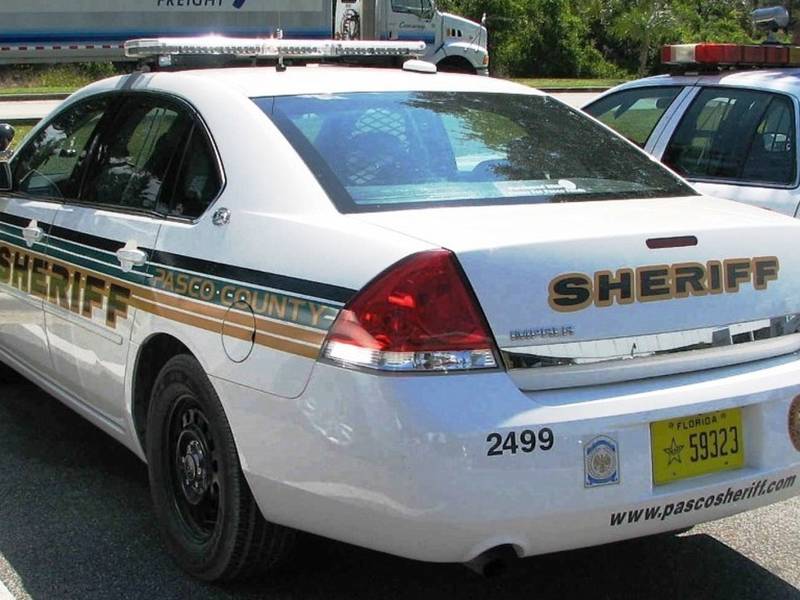 Pasco Deputy Tasered While Subduing Man In Dade City Lutz FL Patch