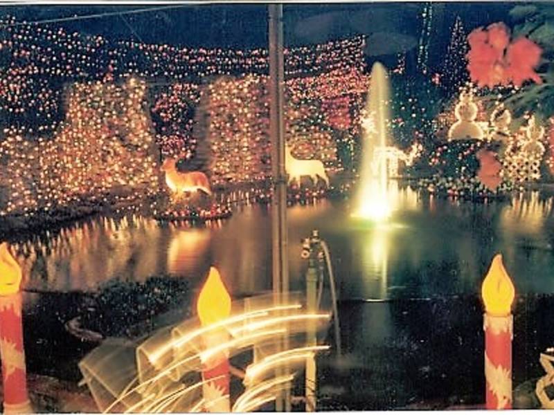 One Of Country's Best Light Displays Now Open In St. Pete St. Pete