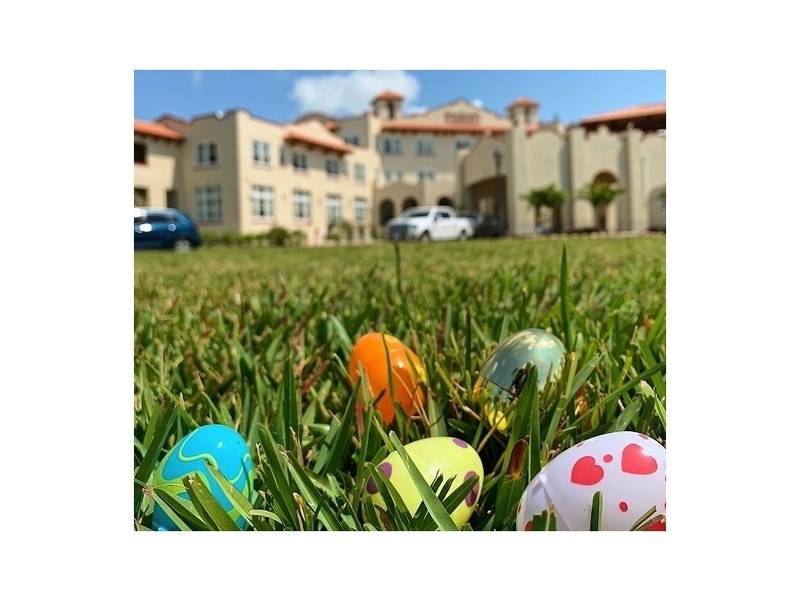 Where To Have Easter Brunch In Tampa Bay 2019 Dunedin, FL Patch