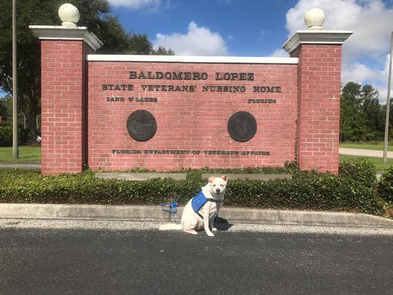 BaldomeroLopez State Veterans' Nursing Home Celebrates 20 Years Land