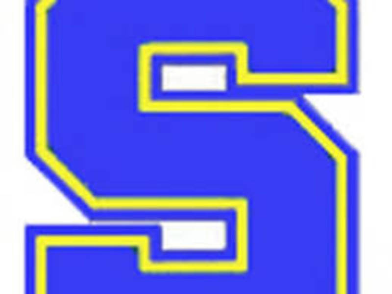 Springfield cougars