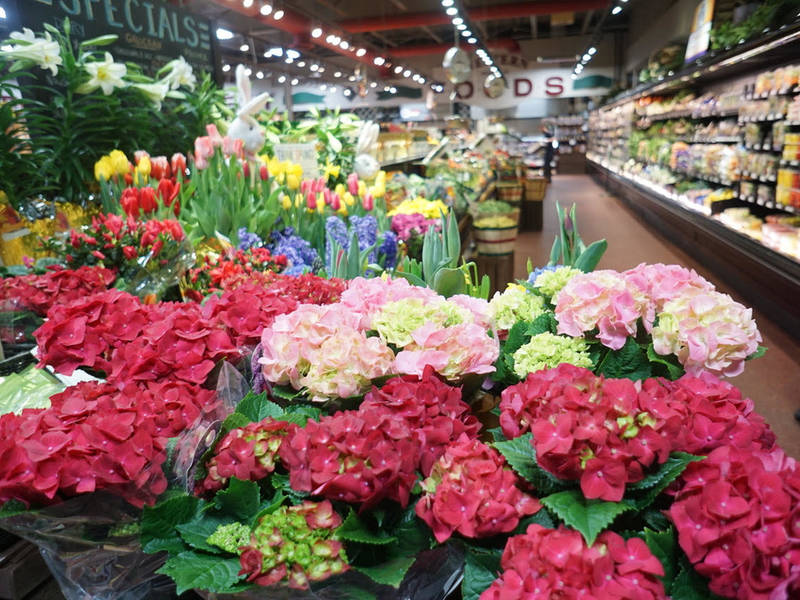 Garden Center Opens At Western Market Ferndale Mi Patch Garden Center Opens At Western Market