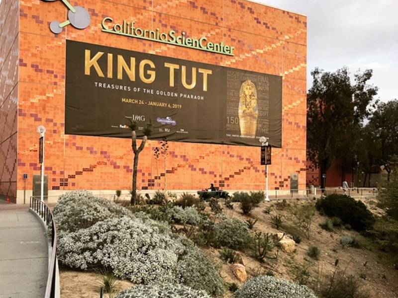 King Tut Immortalized at the California Science Center | Los Angeles