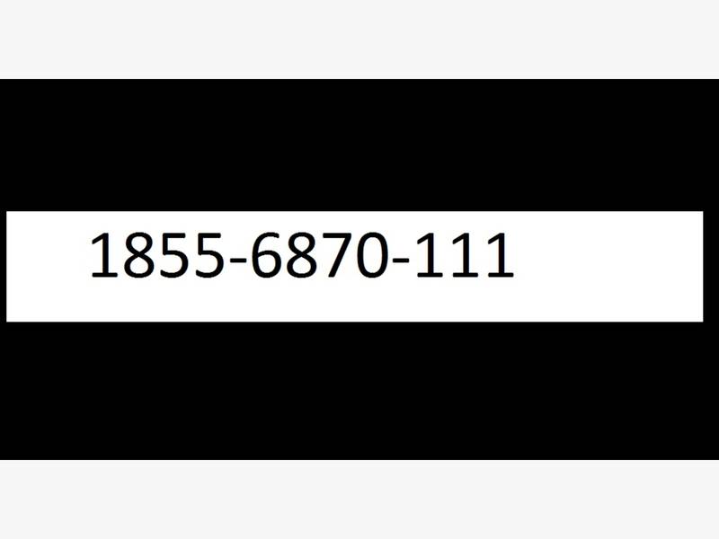 pogo games 18556870111 installations contact pogo tec h support text support