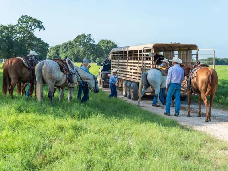 Massive 51 Million Ranch For Sale North Of Houston Across Texas, TX