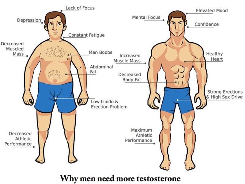 20 Foods That Boost Your Testosterone Levels:Nutrition