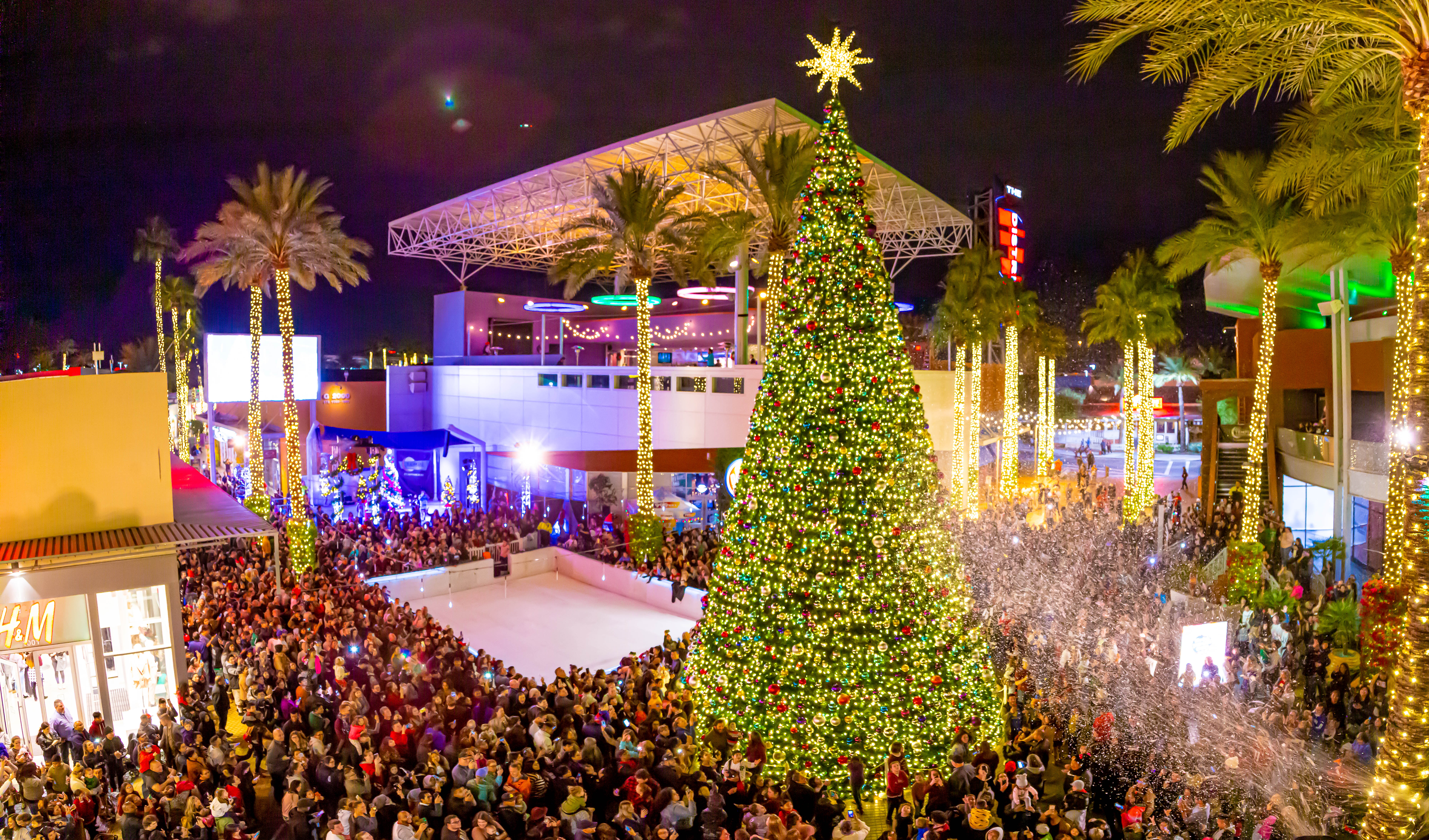 Nov 24 Holiday Tree Lighting Ceremony Phoenix Az Patch