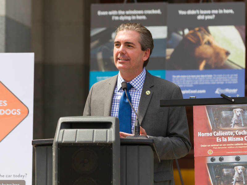 tired of junk mail ca lawmaker is proposing to get rid of it patch get rid of junkmail