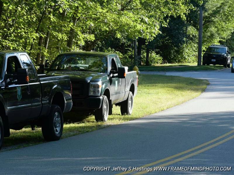 Rabid Fox Reported In Merrimack | Merrimack, NH Patch