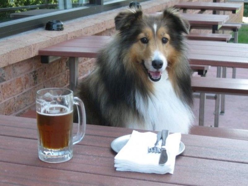 10 Best Bars in Columbia, According to Yelp Columbia, MD Patch