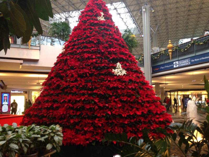mall in columbia hours on christmas eve new years day - What Time Does The Mall Close On Christmas Eve mall in columbia hours on christmas eve new years day - What Time Does The Mall Close On Christmas Eve