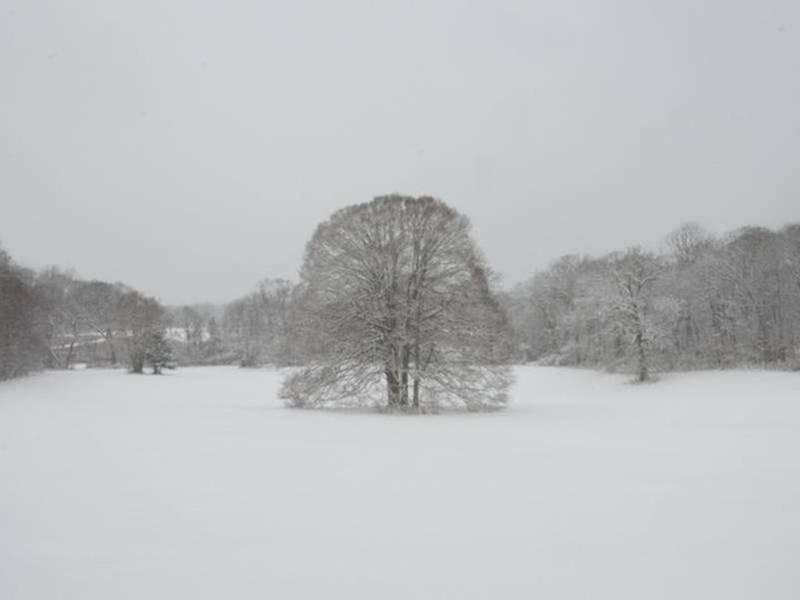 Winter Weather Advisory Issued; See Latest Snow Total Estimates Riverhead, NY Patch