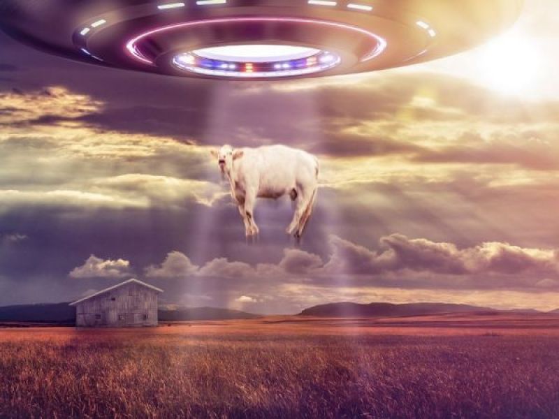 ufo sightings reported in new jersey in 2016 check out the full