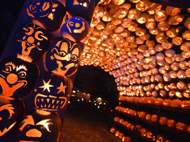 Historic Hudson Valley Adds Dates For Great Jack O'Lantern Blaze in