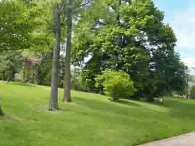 Ellsworth Urban Dog Park Opens in Silver Spring Silver Spring, MD Patch