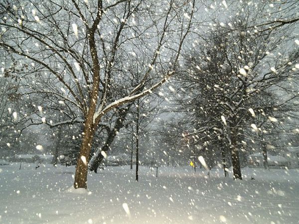Snow Storm 2017 Snow Storm 2017