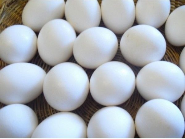 An Eggs-Traordinary Easter With Toys And Treats