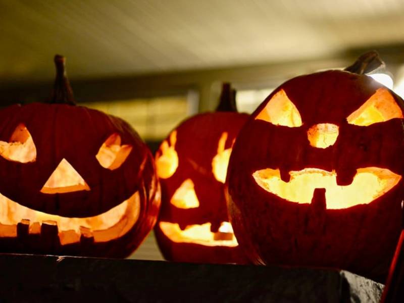 georgias biggest fear revealed in time for halloween