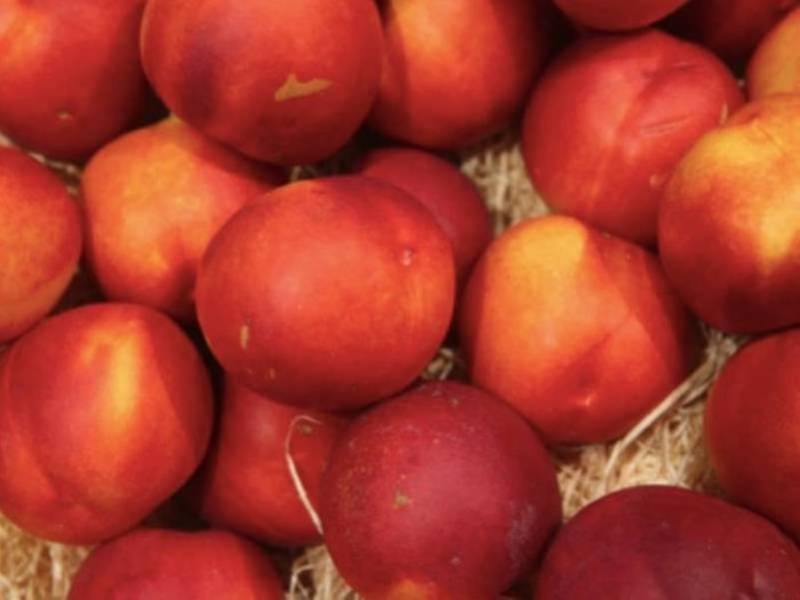 listeria tainted fruit feared sold at walmart costco patchpm patch walmart morton il