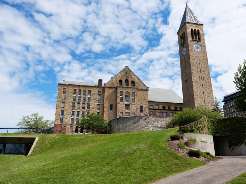 cornell student strips for thesis after short shorts comment