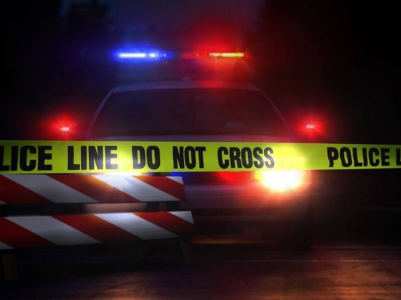 Pack Of Wiener-Type Dogs Maul Oklahoma Woman To Death