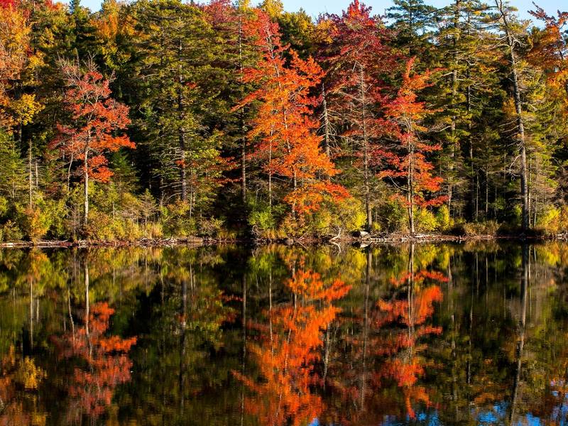 Fall Foliage Map 2018: When Autumn Leaves Peak Around The US