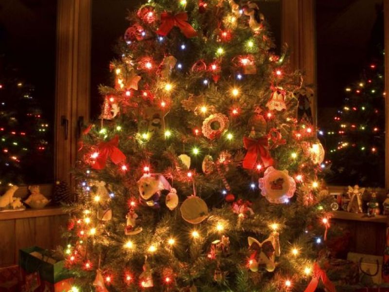 how to care for your christmas tree and your trees at christmas fresh cut christmas tree care