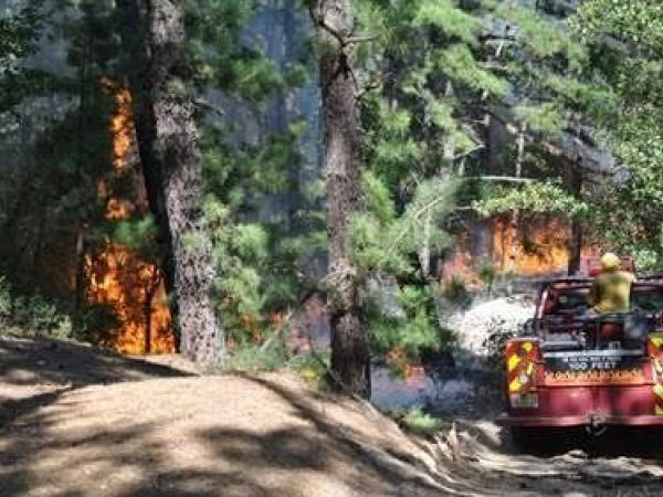 Crews Battle Forest Fire in Ocean County Crews Battle Forest Fire in Ocean County