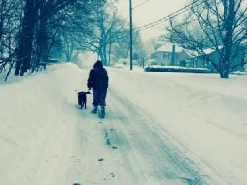 Latest Marlborough Weather Forecast Storm To Drop 814 Inches