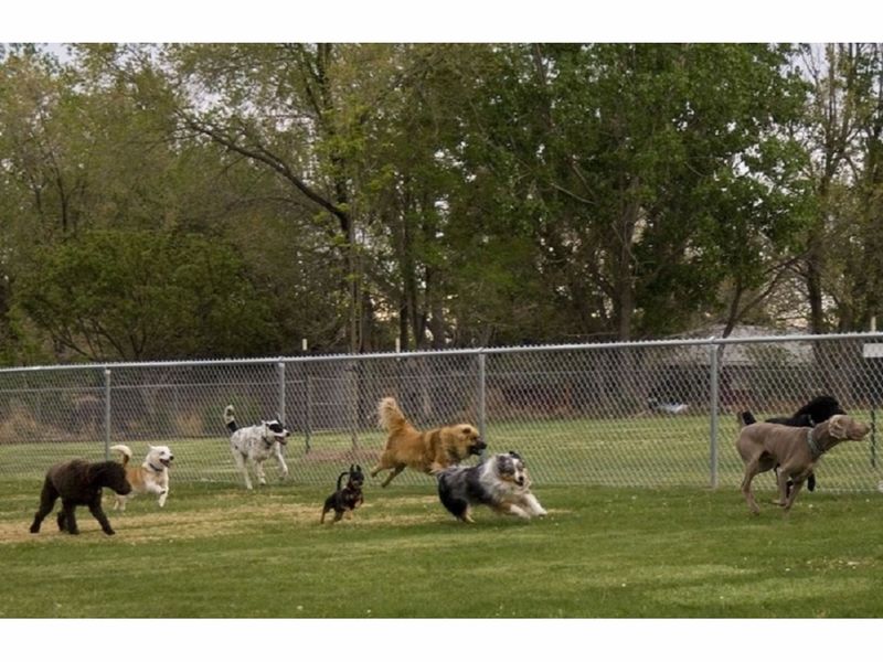 Off Leash Dog Parks In Ma Off Leash Dog Parks In Ma