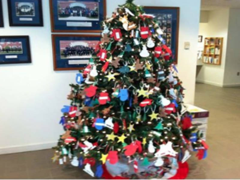 awesome picture of christmas trees natick cut your own awesome picture of christmas trees natick cut your own
