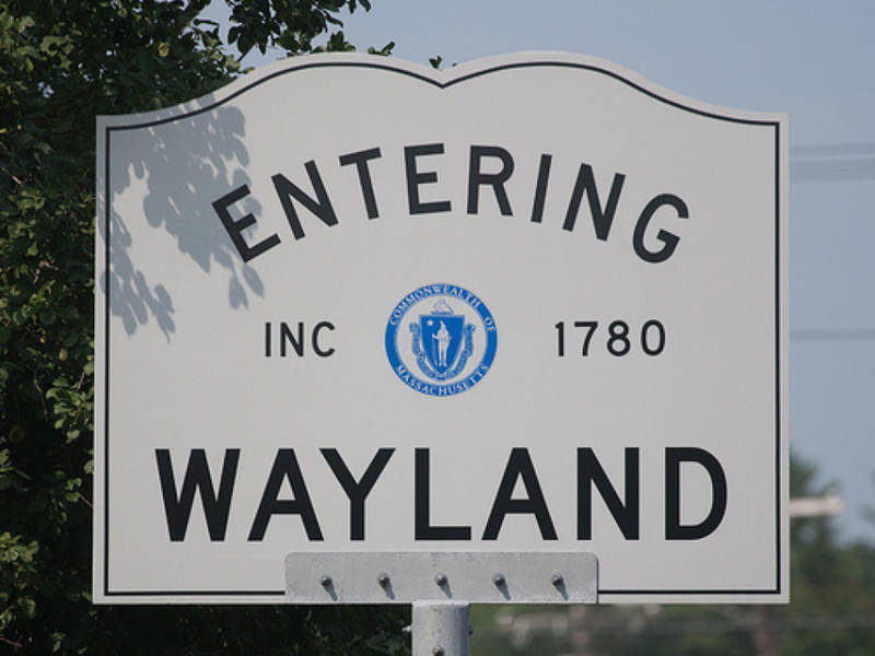 Your Opinions On The Annual Budget For Wayland Wanted Wayland, MA Patch